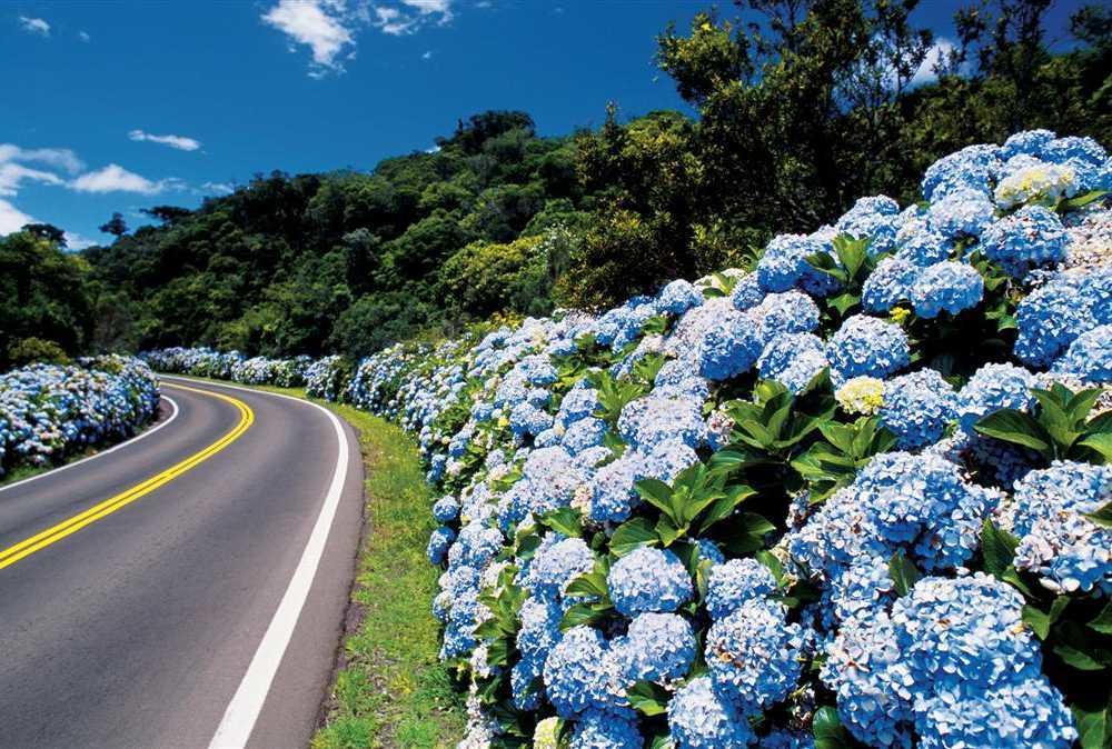 Caminho Das Colinas Gramado Exterior photo